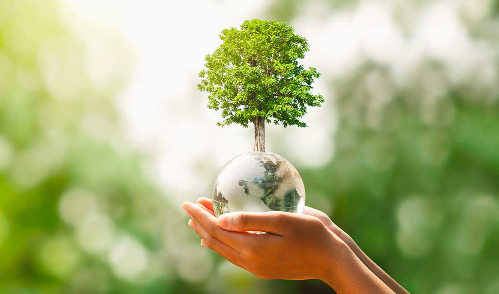 sicurezza-ambiente-3